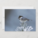 Suche nach weihnachtsvogel karten Winter