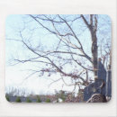 Suche nach alter baum mousepads Himmel