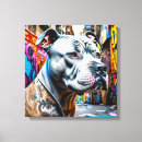 Recherche de brindle Pitbull