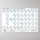 Suche nach hiragana poster Language