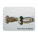 Recherche de chasse magnets Animaux