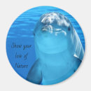 Suche nach delphin magnete Natur