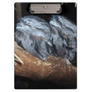 Suche nach owl klemmbrett Eule