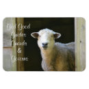 Recherche de bon magnets Dieu