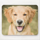 Suche nach golden retriever welpe mousepads Lächeln