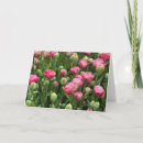 Recherche de tulipes vœux cartes Fleur