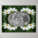 Recherche de fleur de cosmos posters Nature