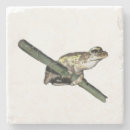Suche nach baumfrosch untersetzer Amphibisch