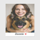 Recherche de bergers autocollants Pour animaux