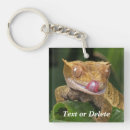 Suche nach gecko schlüsselanhänger Natur