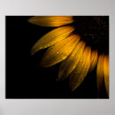 Suche nach garten mit sonnenblumen poster Natur