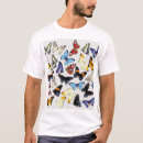 Recherche de collection de papillon Illustration