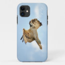 Recherche de fauconnerie iphone coques Aigle
