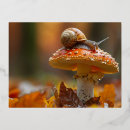 Recherche de escargots cartes postales Champignon