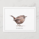 Recherche de petit fils cartes postales Aquarelle