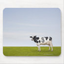Suche nach milchkuh mousepads Horizontal