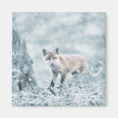Recherche de renard de bébé magnets Nature