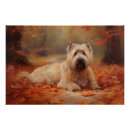 Suche nach wheaten terrier poster Hund