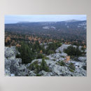 Recherche de forêt pin de posters Automne