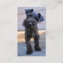 Suche nach zwergschnauzer visitenkarten Geschäft