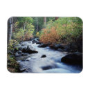 Recherche de piste magnets Californie