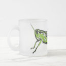 Recherche de sauterelle tasses Cricket
