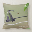 Suche nach kolibri kissen Vogelkunde