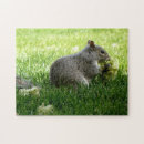 Suche nach nagetiere puzzle Blume