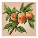 Recherche de vintage fruit poster Fruits vintages