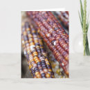 Recherche de nutritionniste vœux cartes Petite entreprise