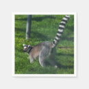 Recherche de cocktails photographie Animaux