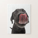 Suche nach nase puzzle Welpe
