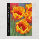 Recherche de tulipe jaune cartes postales Rouge