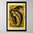 Recherche de whale art Imprimer
