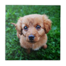 Recherche de assis carreaux Adorable