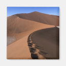 Suche nach namib magnete Trocken