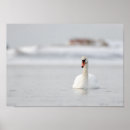 Recherche de oiseaux marins posters Paysage