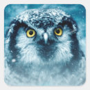 Suche nach schnee eule aufkleber Wild