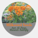 Recherche de milkweed Monarque