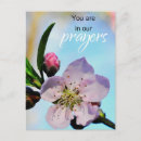Suche nach gemeinden postkarten Blume