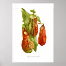 Suche nach pitch poster Blume