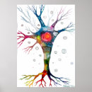Suche nach zelle biologie poster Wissenschaft