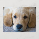 Recherche de doux cartes postales Jour