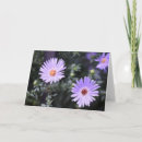 Suche nach violette blumen karten Natur