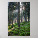 Suche nach württemberg poster Schwarzwald
