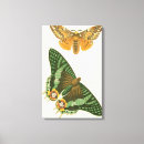 Suche nach insekten leinwandbilder Natur