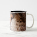 Recherche de image de chat tasses Animal