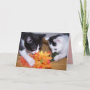 Suche nach wertvoll karten Niedlich