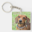 Recherche de dachshund accessoires Rouge