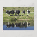 Recherche de plains cartes postales Herbe